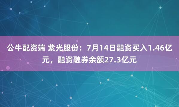 公牛配资端 紫光股份：7月14日融资买入1.46亿元，融资融券余额27.3亿元