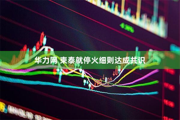华力网 柬泰就停火细则达成共识