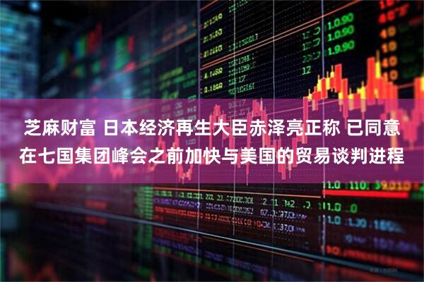 芝麻财富 日本经济再生大臣赤泽亮正称 已同意在七国集团峰会之前加快与美国的贸易谈判进程