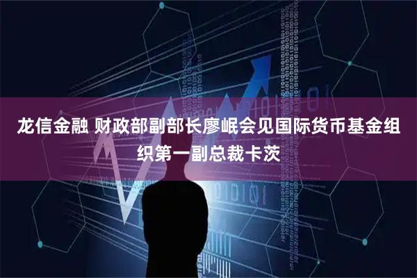 龙信金融 财政部副部长廖岷会见国际货币基金组织第一副总裁卡茨
