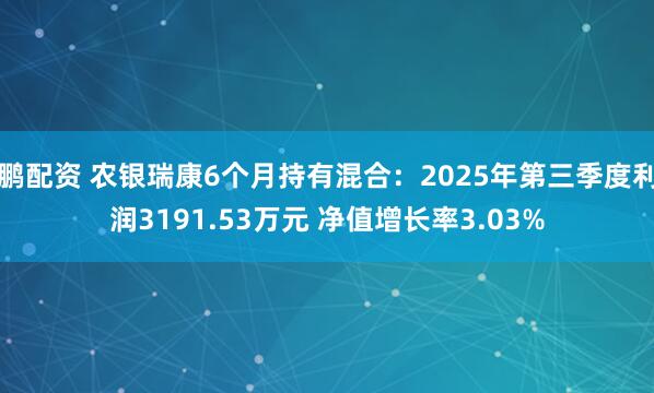 鹏配资 农银瑞康6个月持有混合：2025年第三季度利润3191.53万元 净值增长率3.03%
