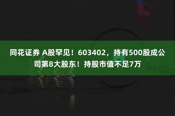 同花证券 A股罕见！603402，持有500股成公司第8大股东！持股市值不足7万