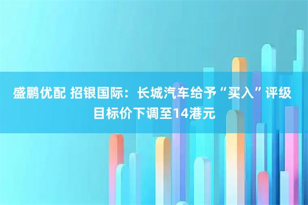 盛鹏优配 招银国际：长城汽车给予“买入”评级 目标价下调至14港元
